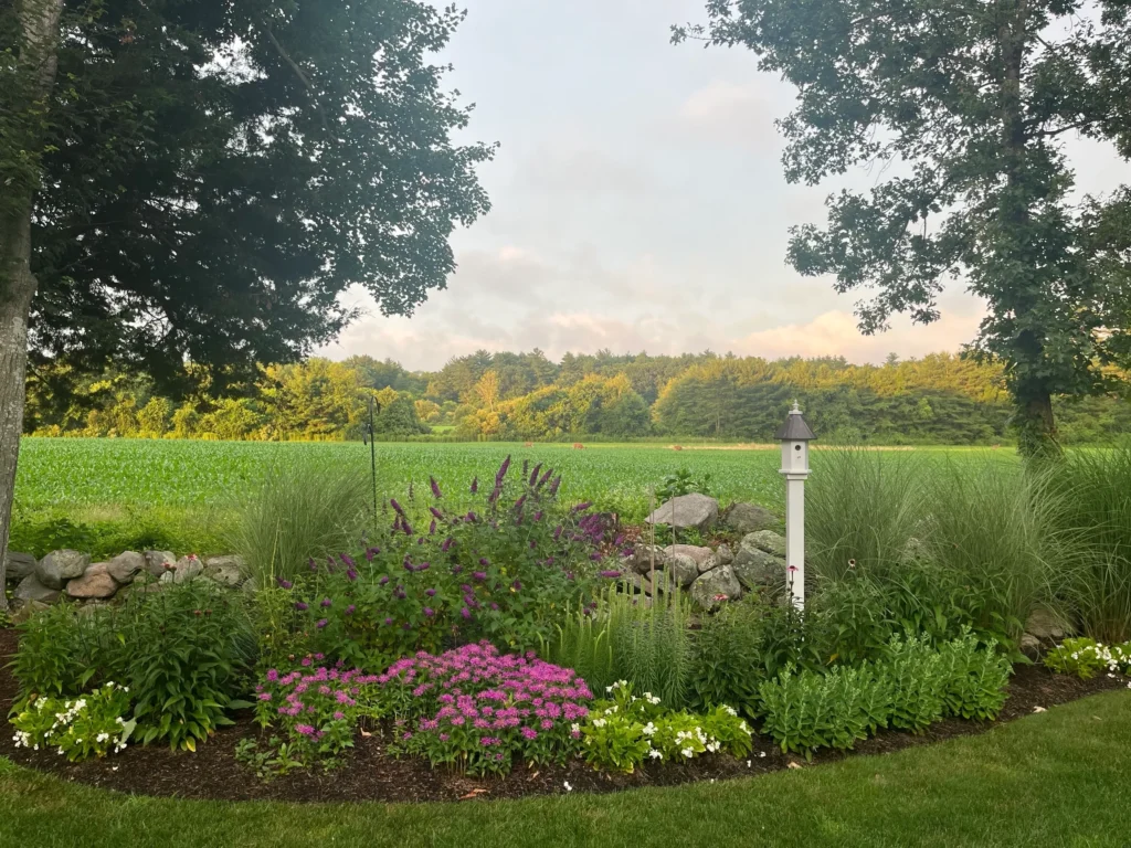 Garden with flowers and distant green field.